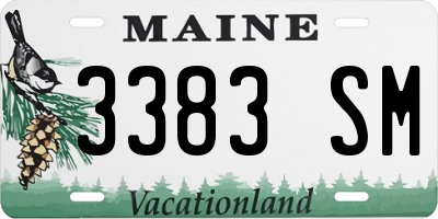 ME license plate 3383SM