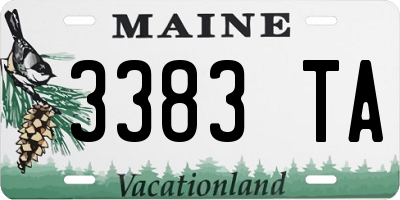 ME license plate 3383TA