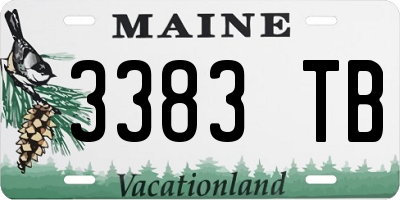 ME license plate 3383TB