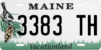ME license plate 3383TH