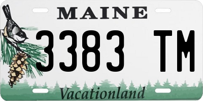 ME license plate 3383TM