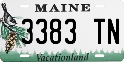 ME license plate 3383TN