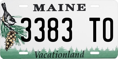 ME license plate 3383TO