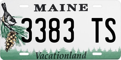 ME license plate 3383TS