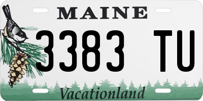 ME license plate 3383TU