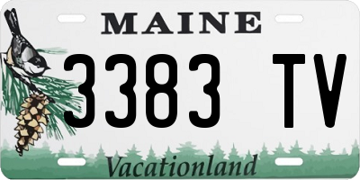 ME license plate 3383TV