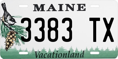 ME license plate 3383TX