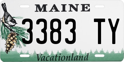 ME license plate 3383TY