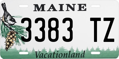 ME license plate 3383TZ