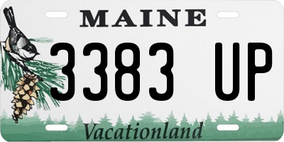 ME license plate 3383UP
