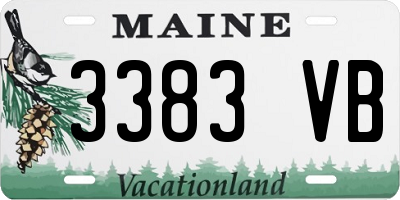 ME license plate 3383VB