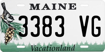 ME license plate 3383VG