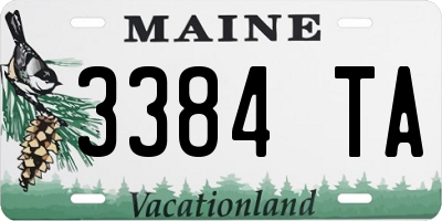 ME license plate 3384TA