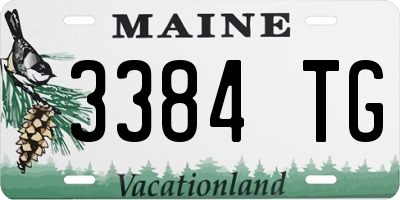 ME license plate 3384TG