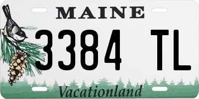 ME license plate 3384TL