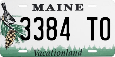 ME license plate 3384TO