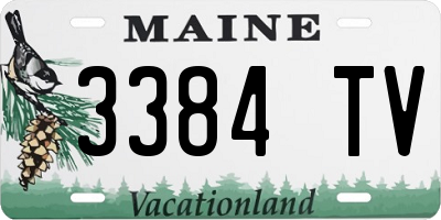 ME license plate 3384TV