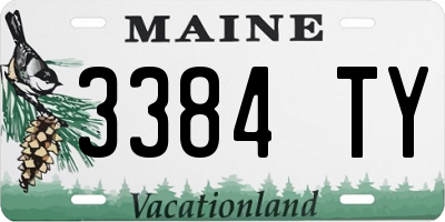 ME license plate 3384TY