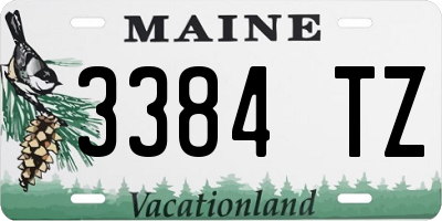 ME license plate 3384TZ