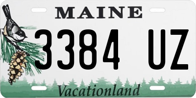 ME license plate 3384UZ