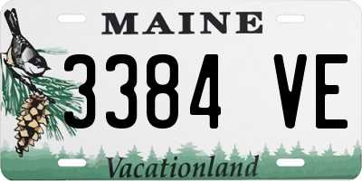 ME license plate 3384VE