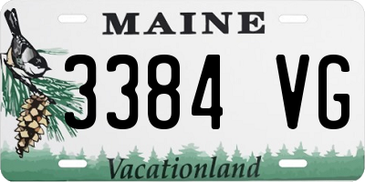 ME license plate 3384VG