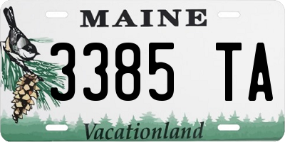 ME license plate 3385TA