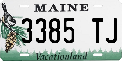 ME license plate 3385TJ