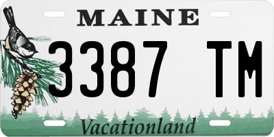 ME license plate 3387TM