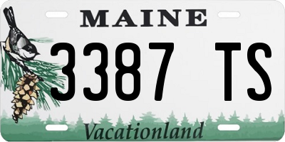 ME license plate 3387TS