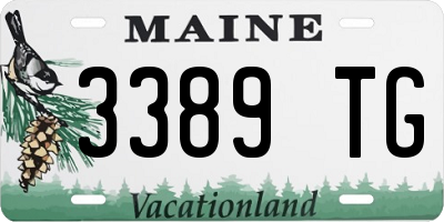 ME license plate 3389TG