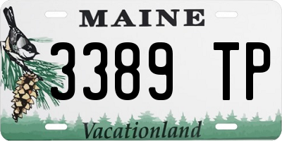 ME license plate 3389TP