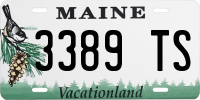 ME license plate 3389TS