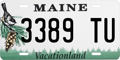 ME license plate 3389TU