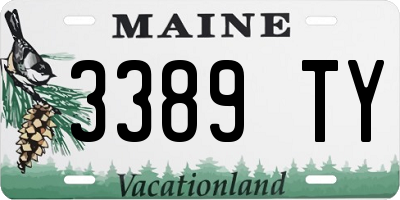 ME license plate 3389TY