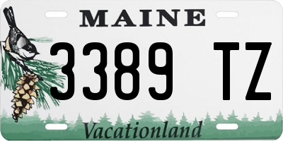 ME license plate 3389TZ