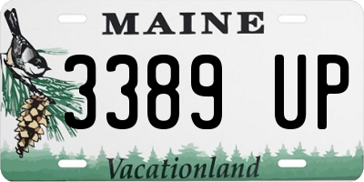 ME license plate 3389UP