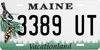 ME license plate 3389UT