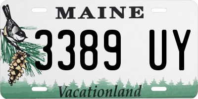 ME license plate 3389UY