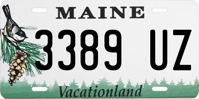 ME license plate 3389UZ