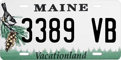 ME license plate 3389VB