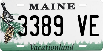 ME license plate 3389VE