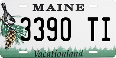 ME license plate 3390TI
