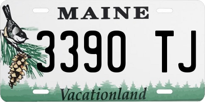 ME license plate 3390TJ