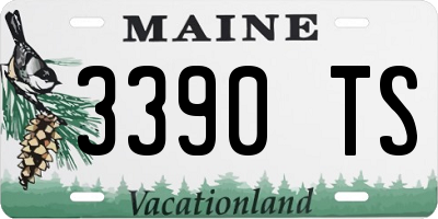 ME license plate 3390TS