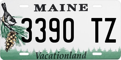 ME license plate 3390TZ