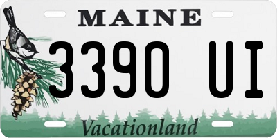 ME license plate 3390UI