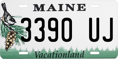 ME license plate 3390UJ