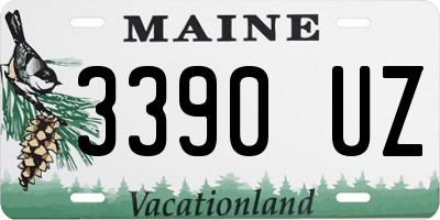 ME license plate 3390UZ