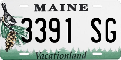 ME license plate 3391SG